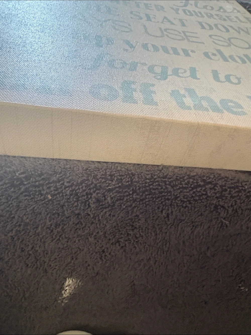 Kohl's Light Blue 'Bathroom Rules' Wall Sign